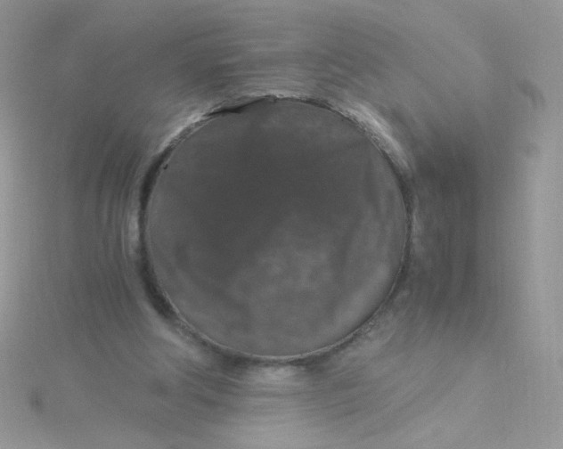 X0000115480202200911271335