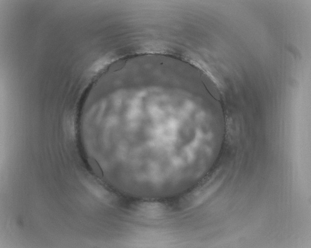 X0000115480203200911271335