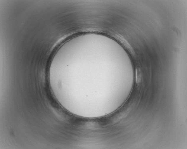 X0000115480204200911271335