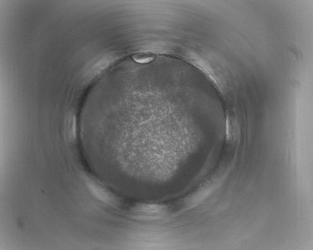 X0000115480205200911271335