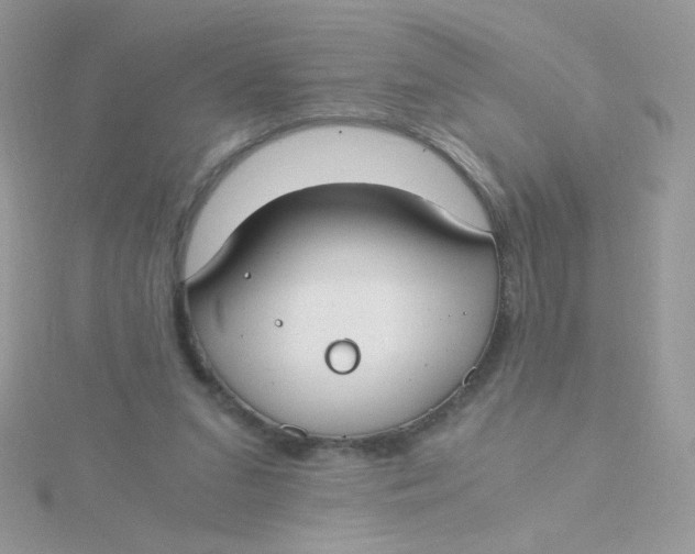 X0000115480207200911271335