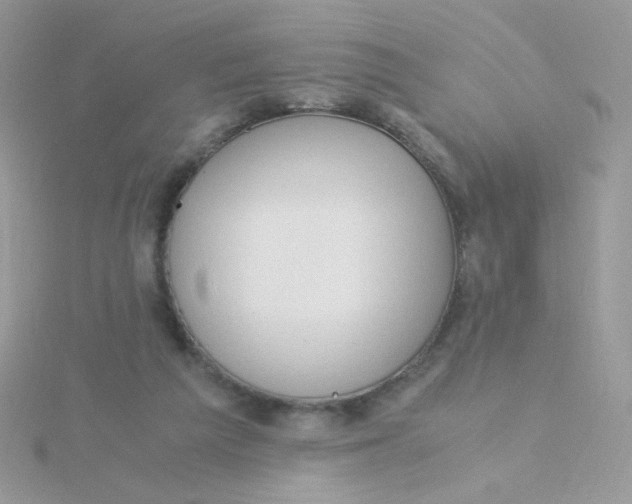 X0000115480209200911271335