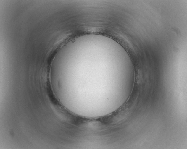 X0000115480210200911271335