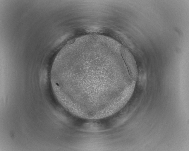 X0000115480211200911271335