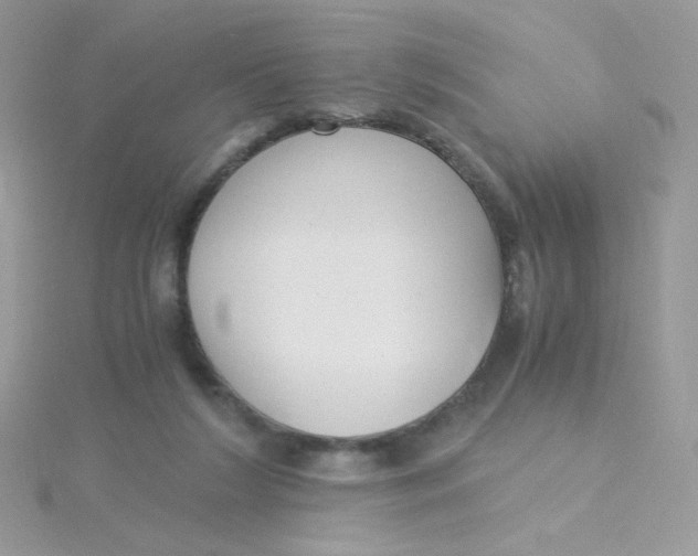 X0000115480212200911271335