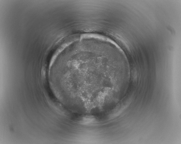 X0000115480214200911271335