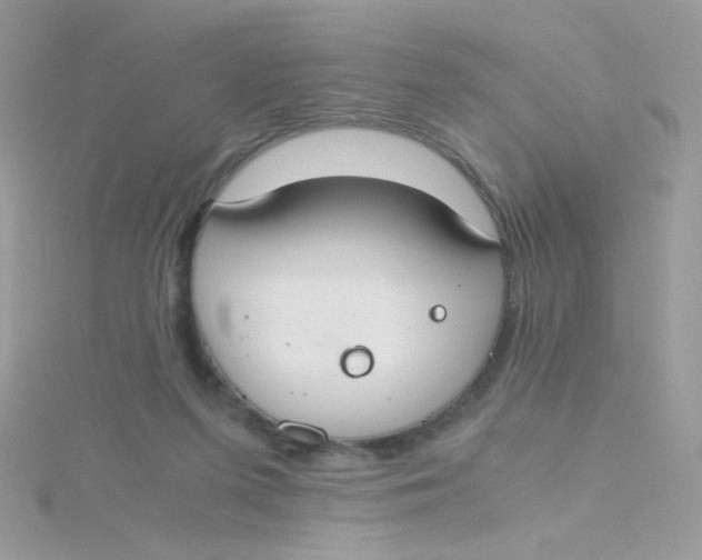 X0000115480215200911271335