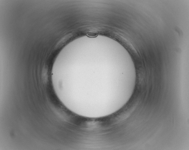 X0000115480216200911271335