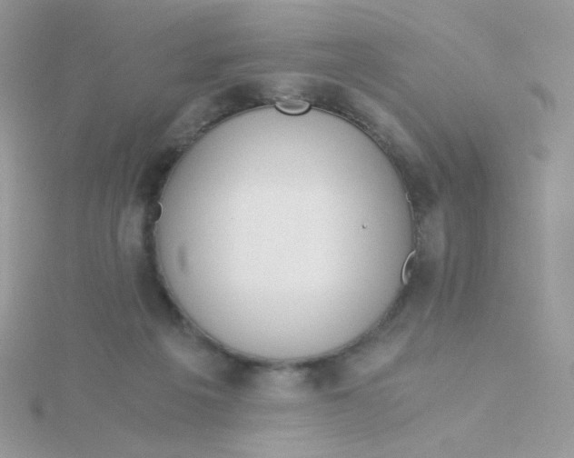 X0000115480217200911271335