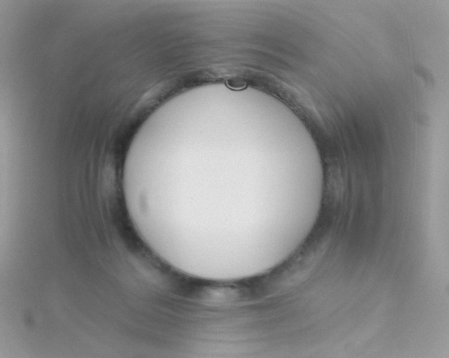 X0000115480220200911271335