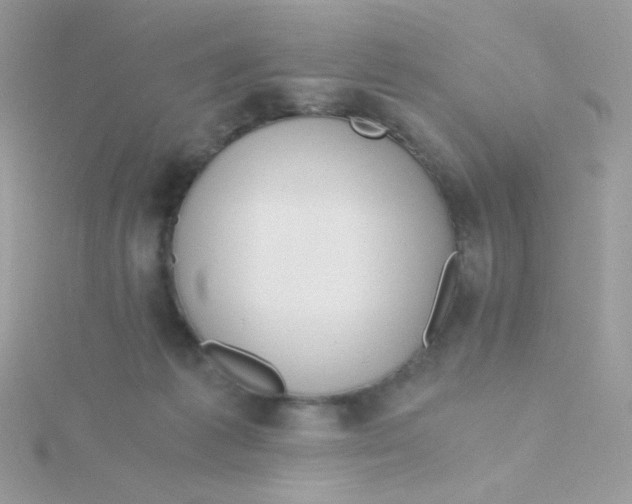 X0000115480221200911271335