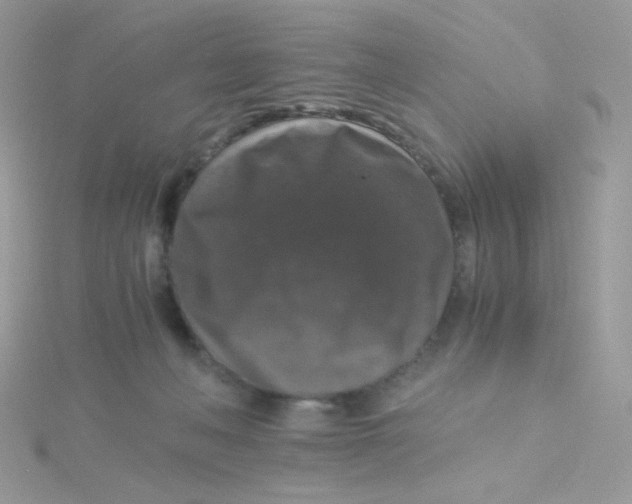 X0000115480222200911271335