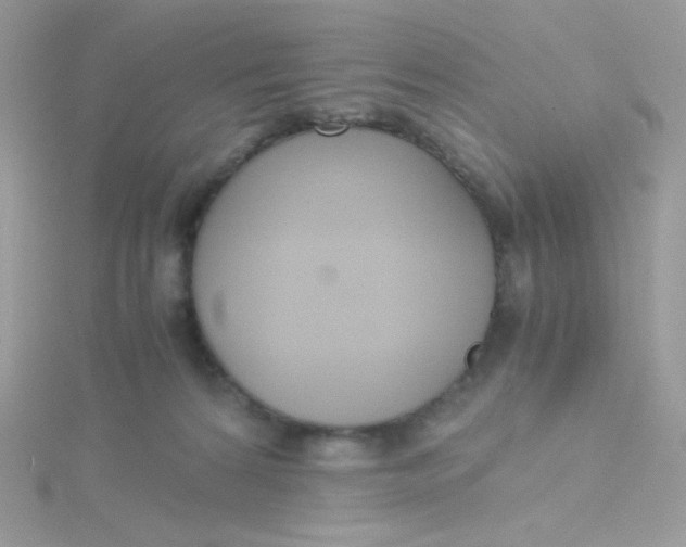 X0000115480224200911271335