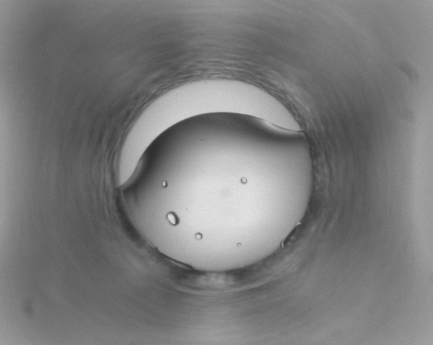 X0000115480225200911271334