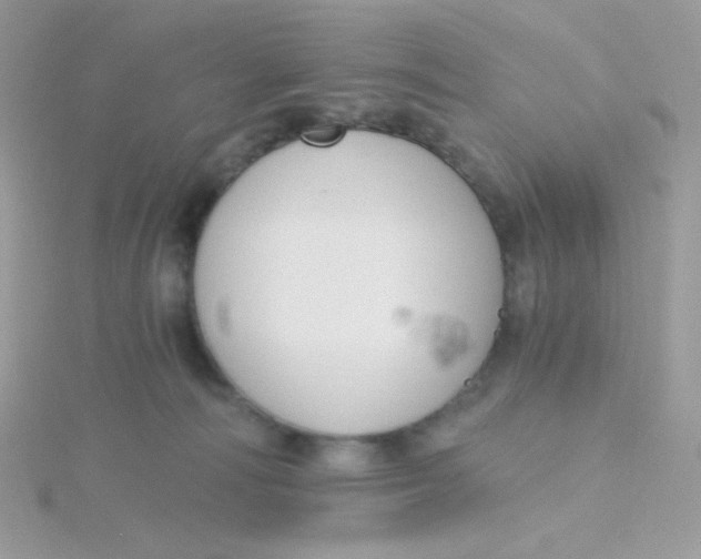 X0000115480226200911271334