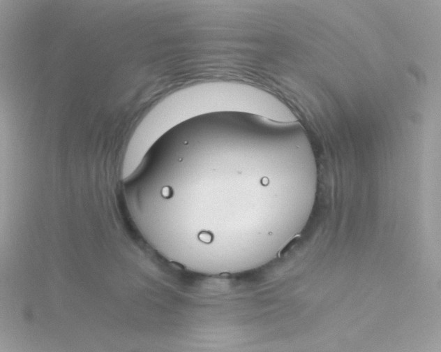 X0000115480227200911271334