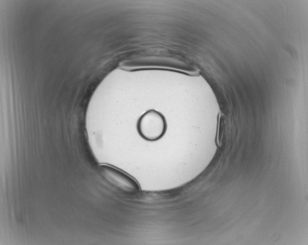 X0000115480229200911271334