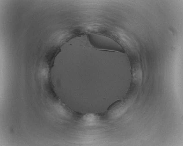 X0000115480231200911271334