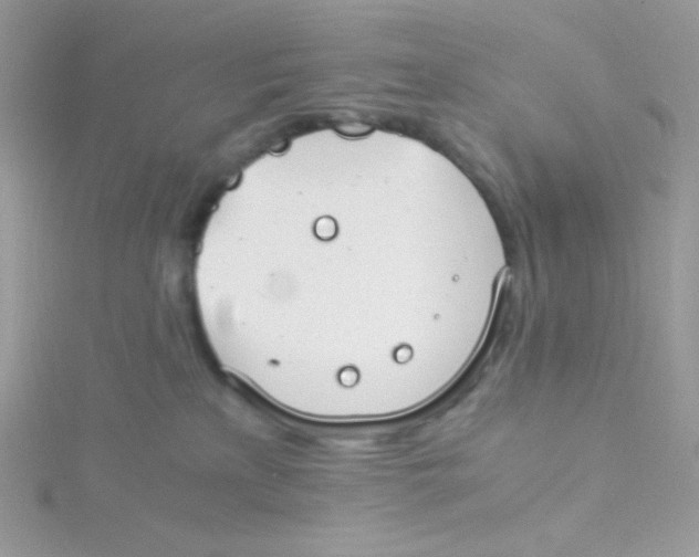 X0000115480233200911271334