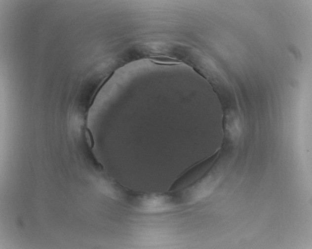 X0000115480235200911271334