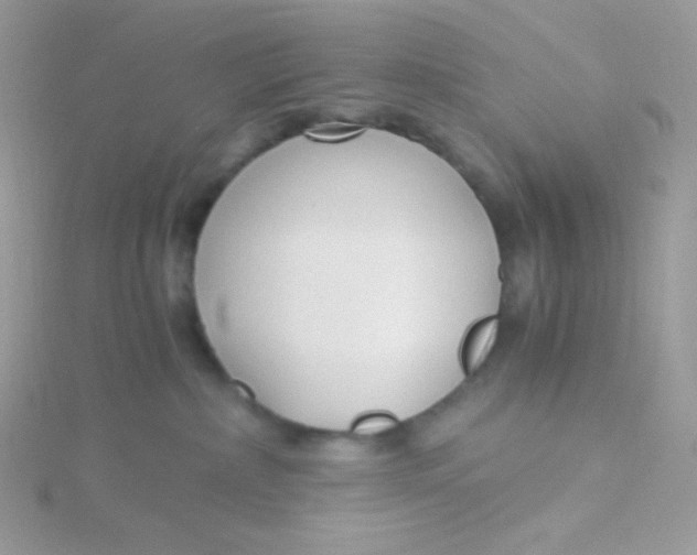 X0000115480236200911271334