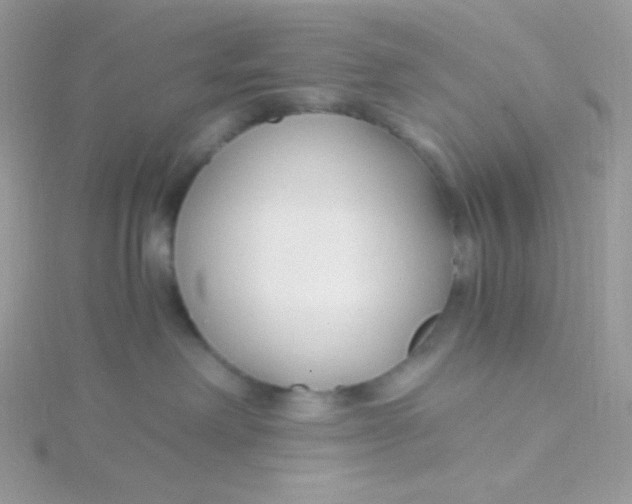 X0000115480238200911271334