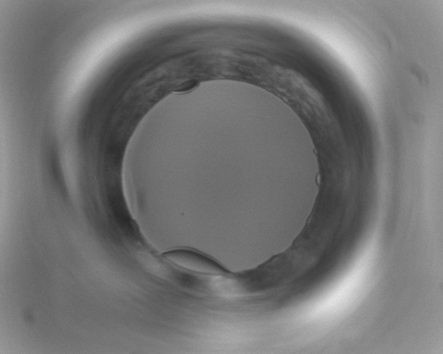 X0000115480239200911271334