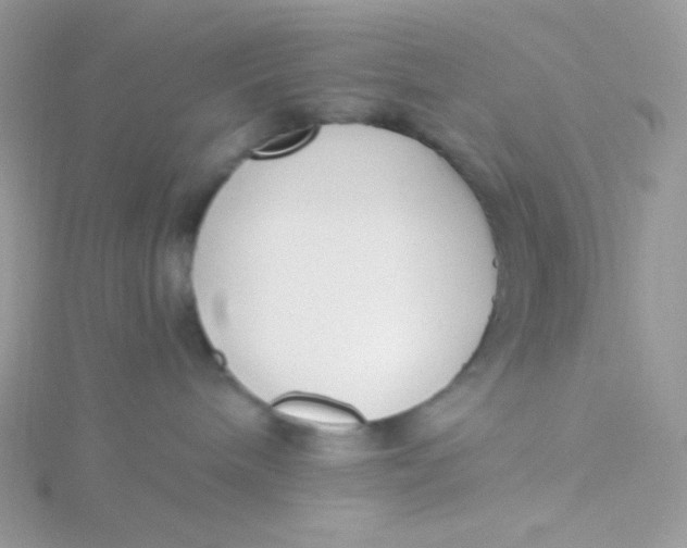 X0000115480240200911271334