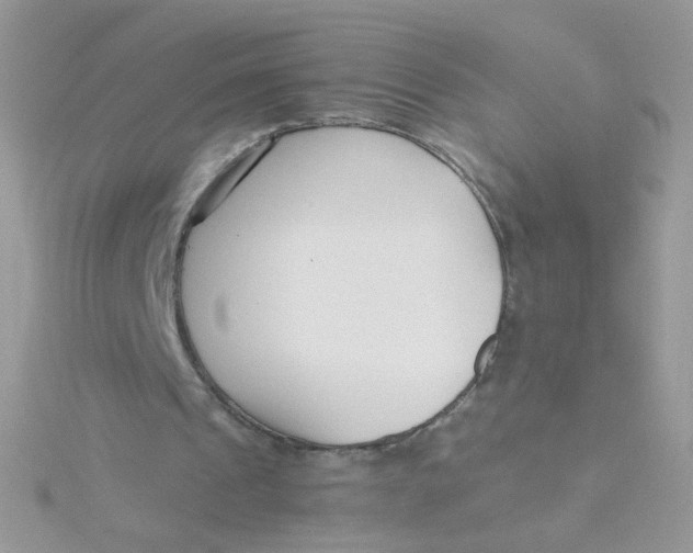 X0000115480241200911271334