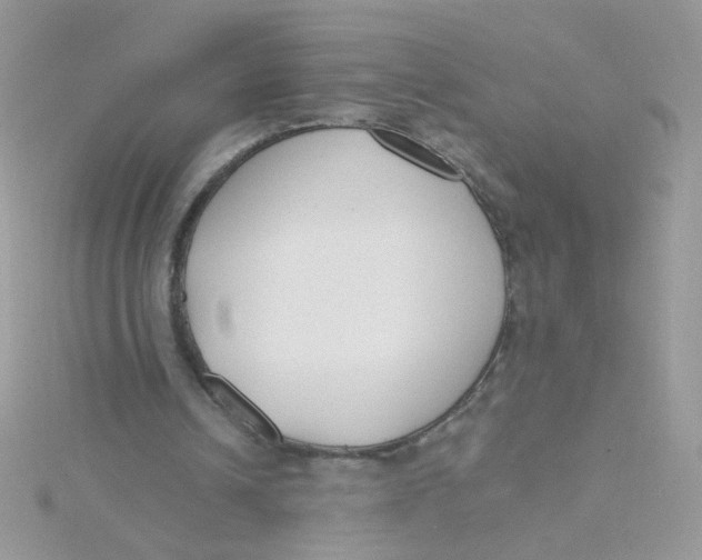 X0000115480242200911271334