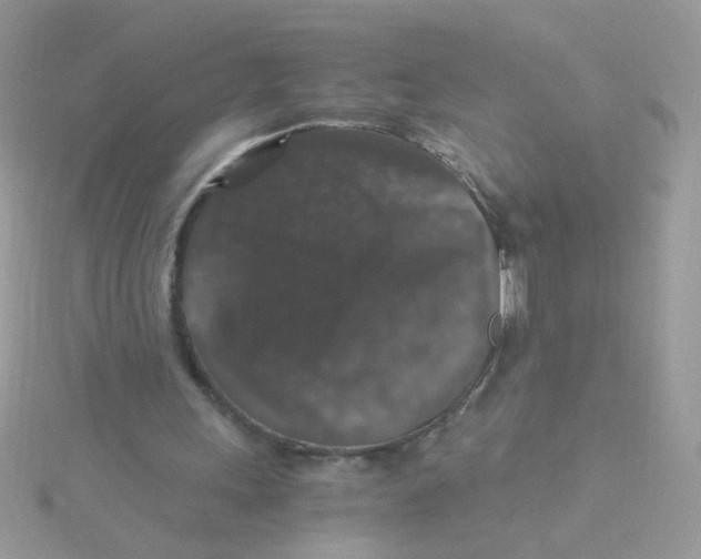 X0000115480243200911271334