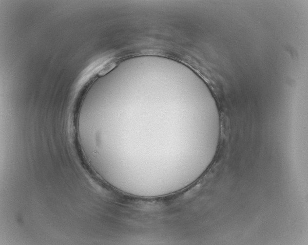 X0000115480245200911271334