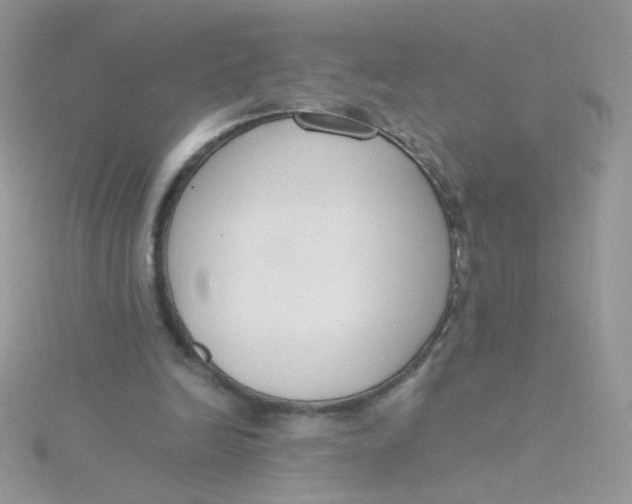 X0000115480246200911271334