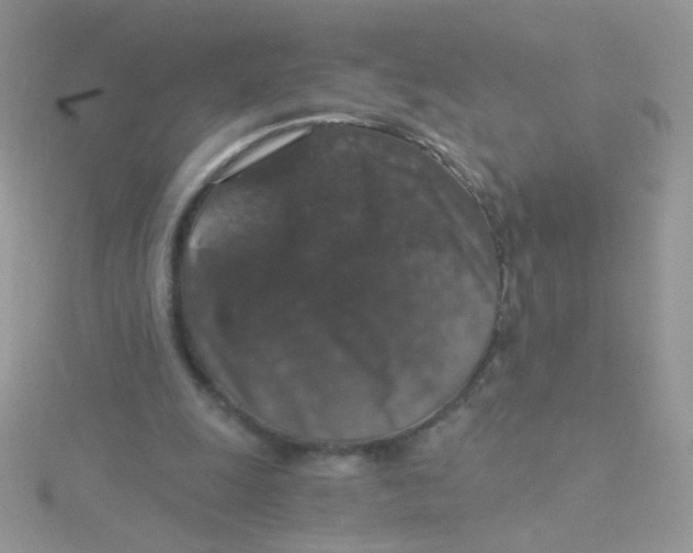 X0000115480247200911271334