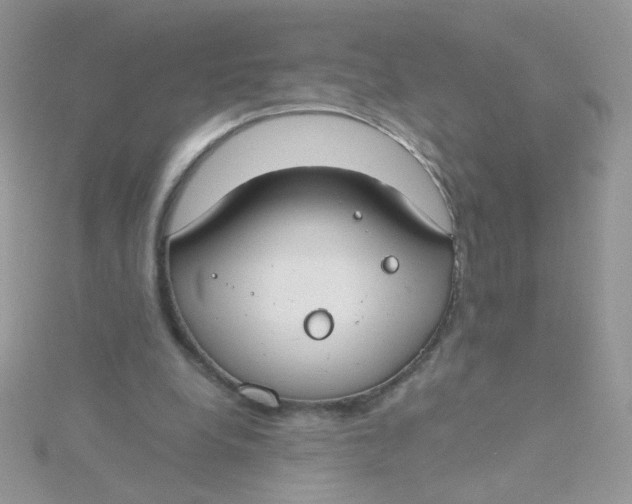 X0000115480248200911271334