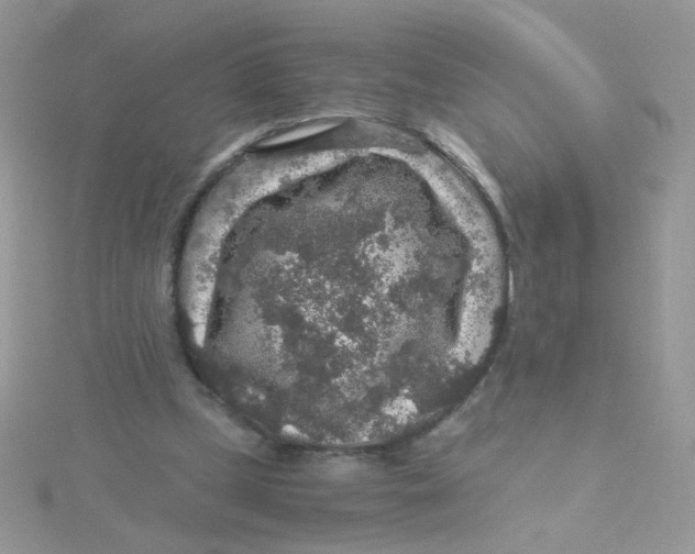 X0000115480249200911271334