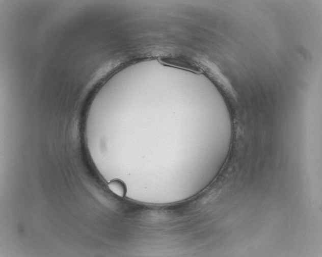 X0000115480250200911271334