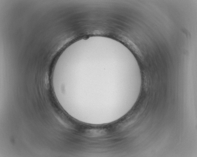 X0000115480251200911271334