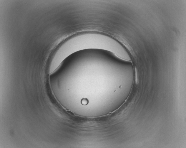 X0000115480252200911271334