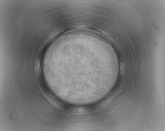 X0000115480254200911271334