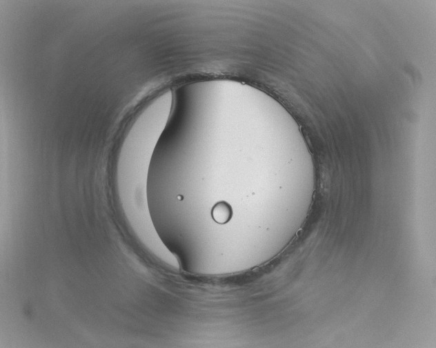 X0000115480256200911271334