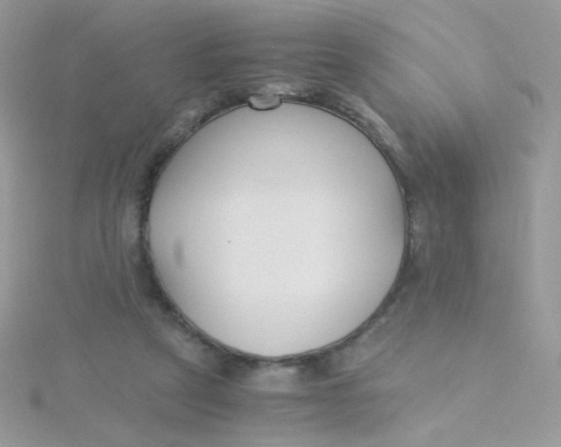 X0000115480257200911271334