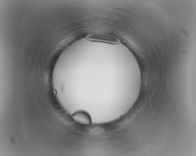 X0000115480258200911271334