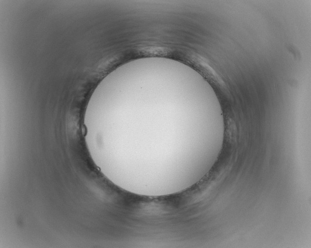 X0000115480259200911271334