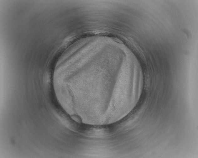 X0000115480260200911271334