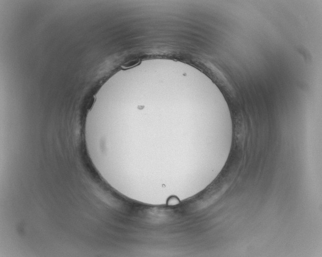 X0000115480261200911271334