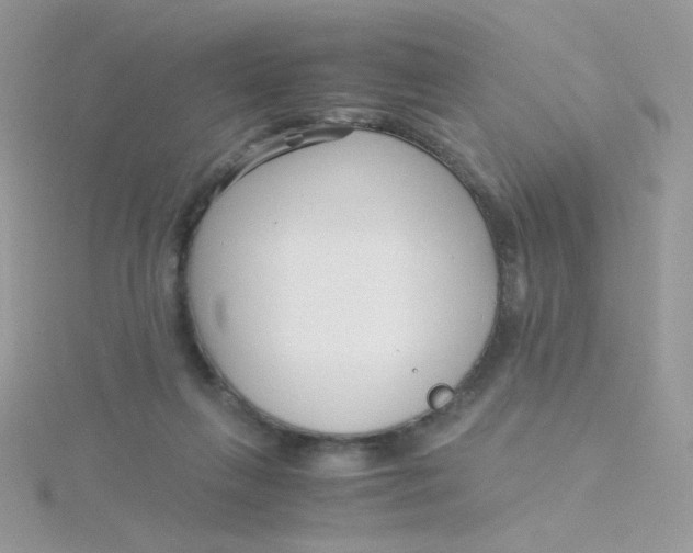 X0000115480263200911271334