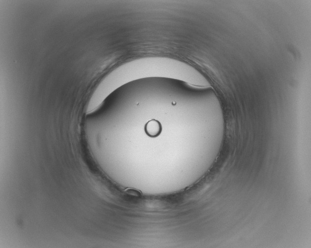 X0000115480264200911271334