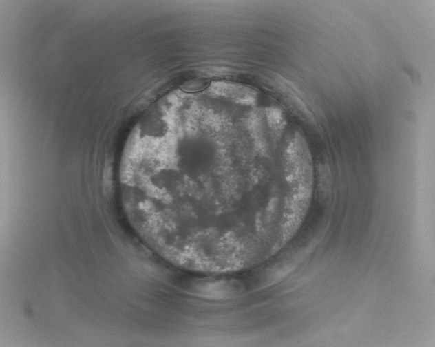 X0000115480267200911271334