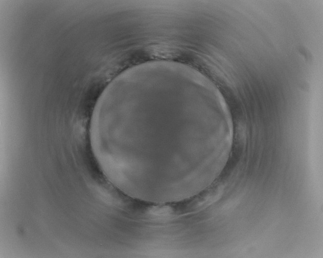 X0000115480271200911271334